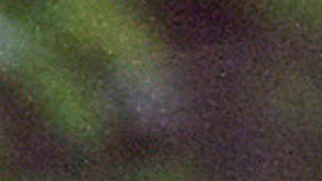 La hermana de Michael Jackson pillada por los paparazzi en un parque londinense.