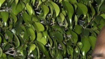 Jennifer López y Alex Rodríguez se reunieron en un hotel en Los Ángeles después de su separación. Aseguran que estuvieron muy cercanos.