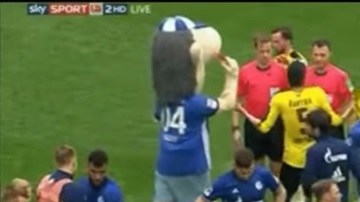 Erwin, la mascota del Schalke 04 expulsó al árbitro
