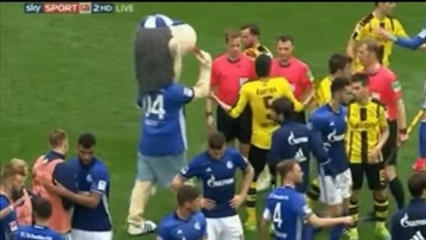 Erwin, la mascota del Schalke 04 expulsó al árbitro