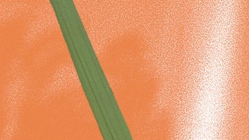 Los Hacheros pondrán la nota musical al evento.