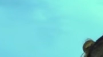 Pavel Núñez, Fernando Osorio y Jorge Viera.