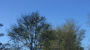 Los hechos ocurrieron en la ciudad de Bridgewater en Nueva Jersey.