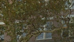 Los hechos ocurrieron en la escuela pública 202, en East New York.