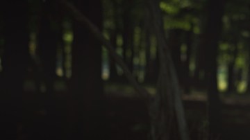 fantasma