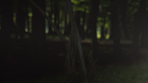 fantasma