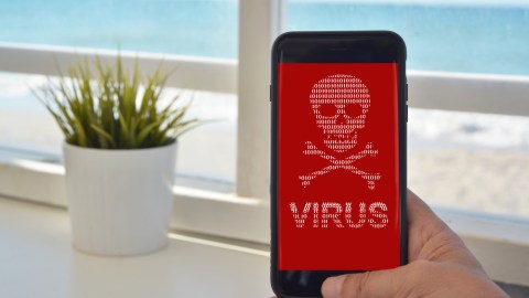 virus celular