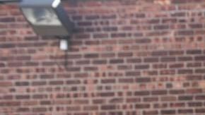 Hasta 31 trabajadores de esta panadería pueden perder su trabajo el día 21./Cortesía