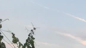 Si te gusta el vino y disfrutar la vista desde Brooklyn, tienes que visitar este lugar.