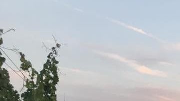 Si te gusta el vino y disfrutar la vista desde Brooklyn, tienes que visitar este lugar.