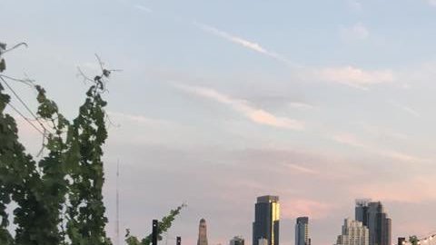 Si te gusta el vino y disfrutar la vista desde Brooklyn, tienes que visitar este lugar.