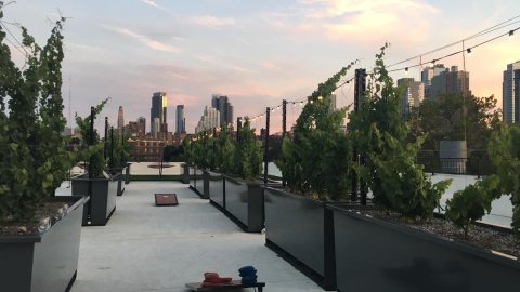 Si te gusta el vino y disfrutar la vista desde Brooklyn, tienes que visitar este lugar.
