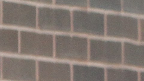 Estudiantes salen del colegio.