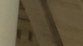 Inmigrantes y abogados manifiestan en City Hall para que los abogados puedan ayudarlos sin importar su estado legal.