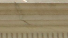 Presidente de Black Mattesr NY, Hawk Newsome piden investigacion sobre tacticas anti-pandillas del NYPD en City Hall.