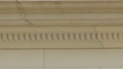 Presidente de Black Mattesr NY, Hawk Newsome piden investigacion sobre tacticas anti-pandillas del NYPD en City Hall.