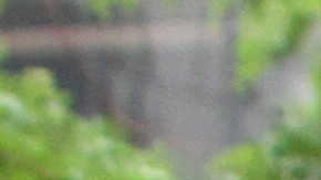 Concejo discute un plan para implementar un sistema de grados con letras para los vendedores de comida en carritos callejeros.