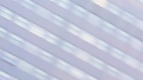 Felix Cepeda esta en huelga de hambre en la Catedral de San Patricio para pedir que la iglesia catolica participe como "santuario" para indocumentados.