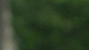 Manifestantes se congregaron en City Hall para criticar la eliminación de fondos en el presupuesto municipal para las clases de inglés para adultos.