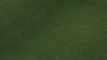 Manifestantes se congregaron en City Hall para criticar la eliminación de fondos en el presupuesto municipal para las clases de inglés para adultos.