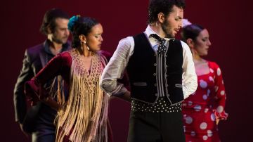 Flamenco Vivo es una de las compañías más antiguas de Estados Unidos dedicada a la promoción del flamenco.