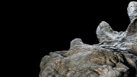 Los expertos han quedado fascinados por lo intacto que fue hallado el nodosaurus, aunque solo pudieron rescatar la mitad del fósil.