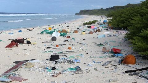 basura isla
