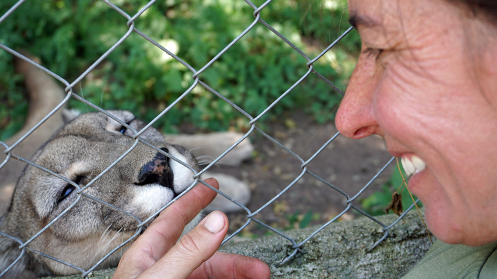 La sorprendente mujer que se crió entre pumas y hoy dedica su vida a cuidar y salvar animales