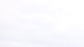 Adam Scotti compartió la imagen en redes sociales.