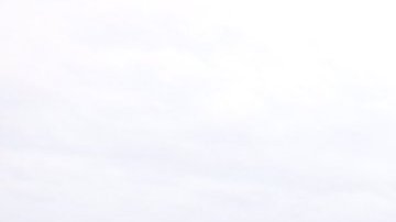 Adam Scotti compartió la imagen en redes sociales.