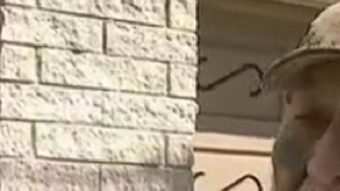 Miguel Gómez fue atacado por un hombre joven cuando iba a comprar un café.