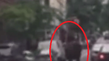 Un caballo escapó de Central Park y recorrió varias calles del centro de Manhattan.