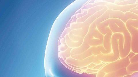 cerebro