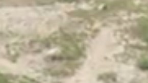 CNN realizó un reporte especial del caso.