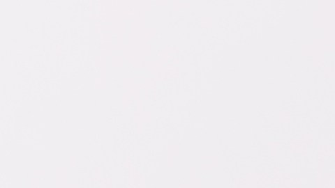 Mejorar la historia crediticia es una lucha de muchos frentes pero hay vías./Shutterstock