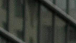 Cuomo ha participado en varios desfiles en el pasado.