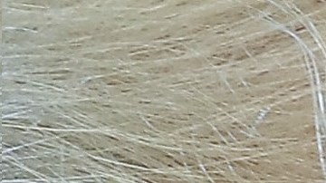 El presidente Trump ha despedido a tres personajes de alto perfil del gobierno federal.