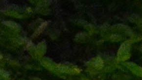 Paquito D'Rivera (derecha), Hernán Milla y Carlos Cano Escribá.