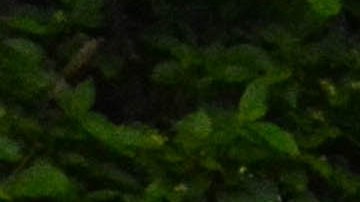 Paquito D'Rivera (derecha), Hernán Milla y Carlos Cano Escribá.