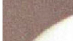 Osama y Amal Bin Laden.