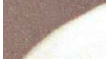 Osama y Amal Bin Laden.