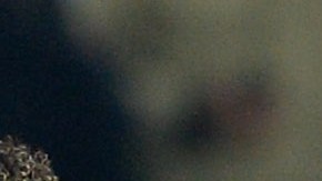 Casillas y Buffon se saludan tras un encuentro de Champions entre la Juventus de Turín y el Real Madrid.