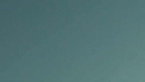Con las armas se podría derribar cualquier tipo de avión.