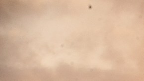 Este espectáulo sólo se ve dos veces al año.