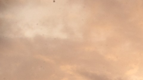 Este espectáulo sólo se ve dos veces al año.