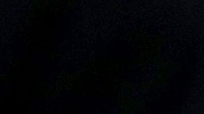 Trump no siguió el consejo de Obama sobre Michael Flynn.