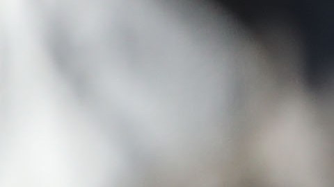 El presidente Trump mantiene una buena relación con Justin Trudeau.