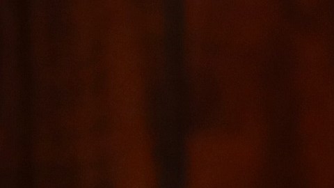 Kushner podría haber usado dinero procedente de Rusia en sus negocios.