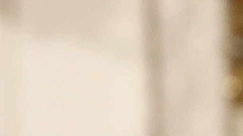 Las sospechas de un distanciamiento entre la Primera Dama y el presidente Trump siguen aumentando.