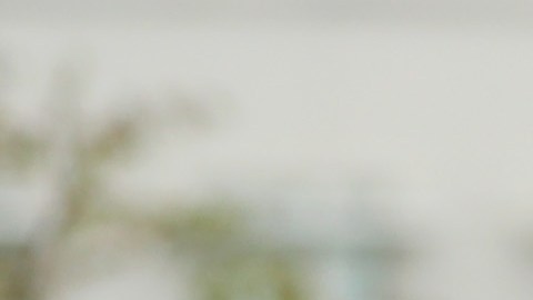 La llamada "Primera Hija" impulsa proyectos en el gobierno federal sobre mujeres empresarias.